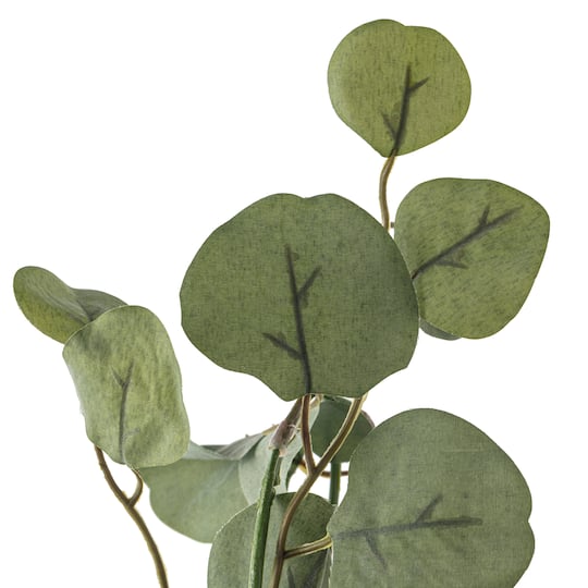 8 Pack: 6ft. Eucalyptus Garland by Ashland®